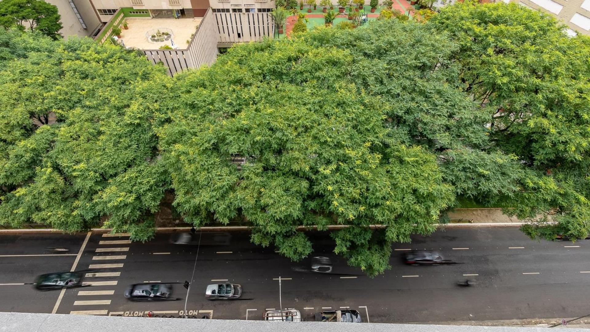 Maravilhosos Com Cinema Privativo Ao Lado Do Metro Mackenzie Casa de férias São Paulo